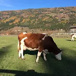 Locus Malontina Gmünd