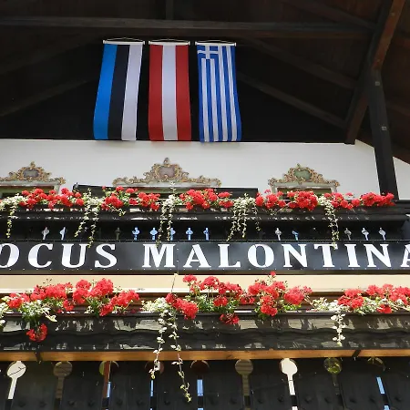 Locus Malontina Gmünd