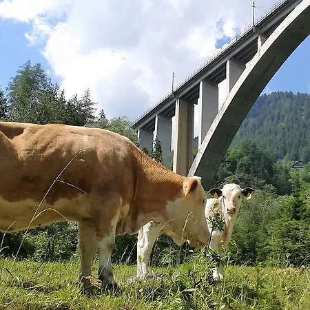 Locus Malontina Hotel