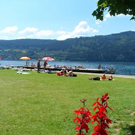 Locus Malontina * Gmünd