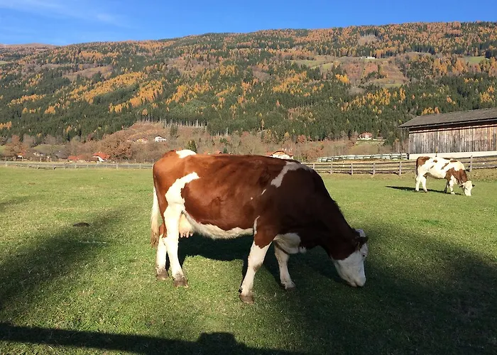 Locus Malontina Гмюнд