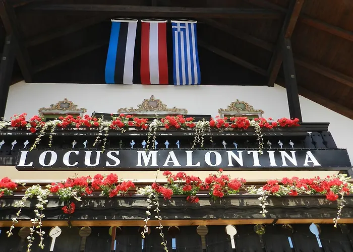 Locus Malontina Гмюнд