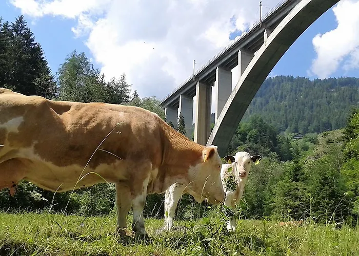 Locus Malontina Hotel